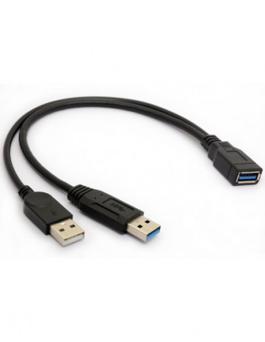 Cable USB 3.0  Male Y  vers USB-A Male + USB-A Femelle 0.30m
