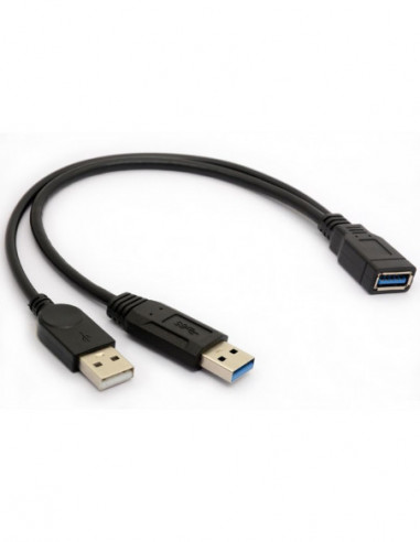 Cable USB 3.0 Male Y vers USB-A Male + USB-A Femelle 0.30m