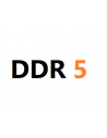 DDR 5